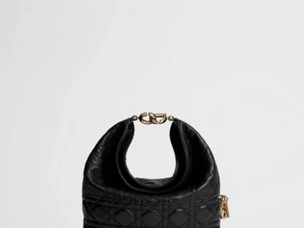 Small Dior Toujours Hobo Bag